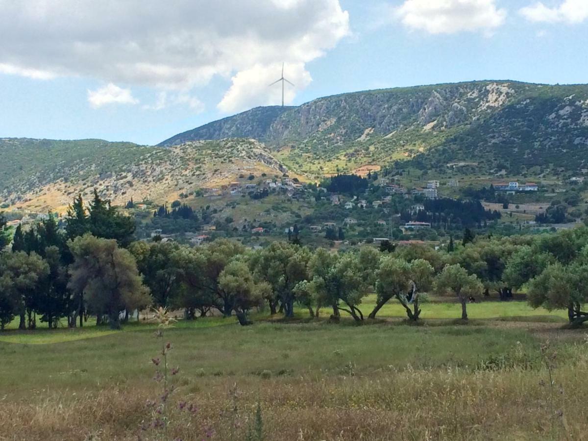 Zeytinli Konak Bed and Breakfast Smirne Esterno foto